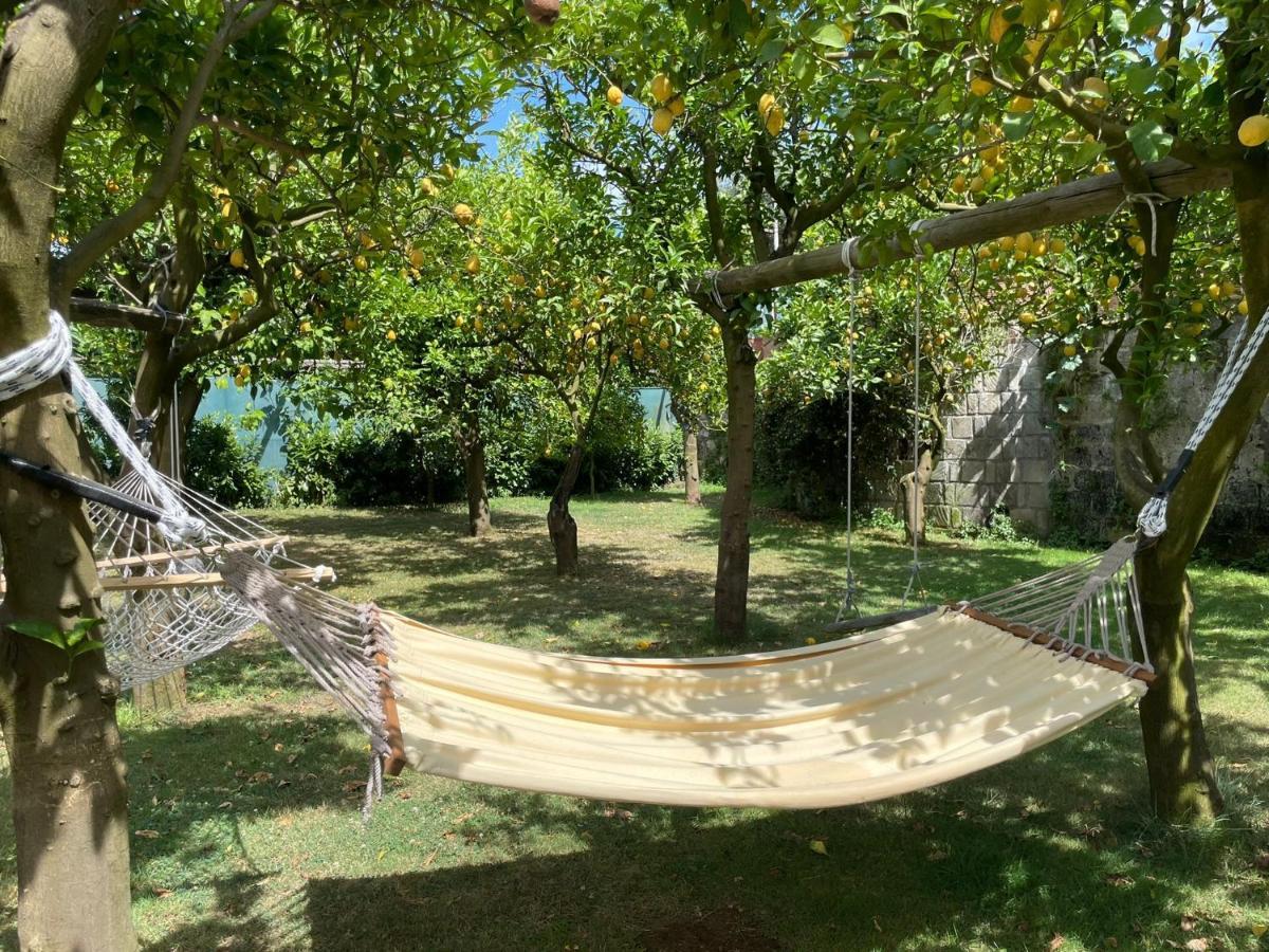 Casa Sorrento, Immerso Nel Verde A Pochi Passi Dal Centro Εξωτερικό φωτογραφία