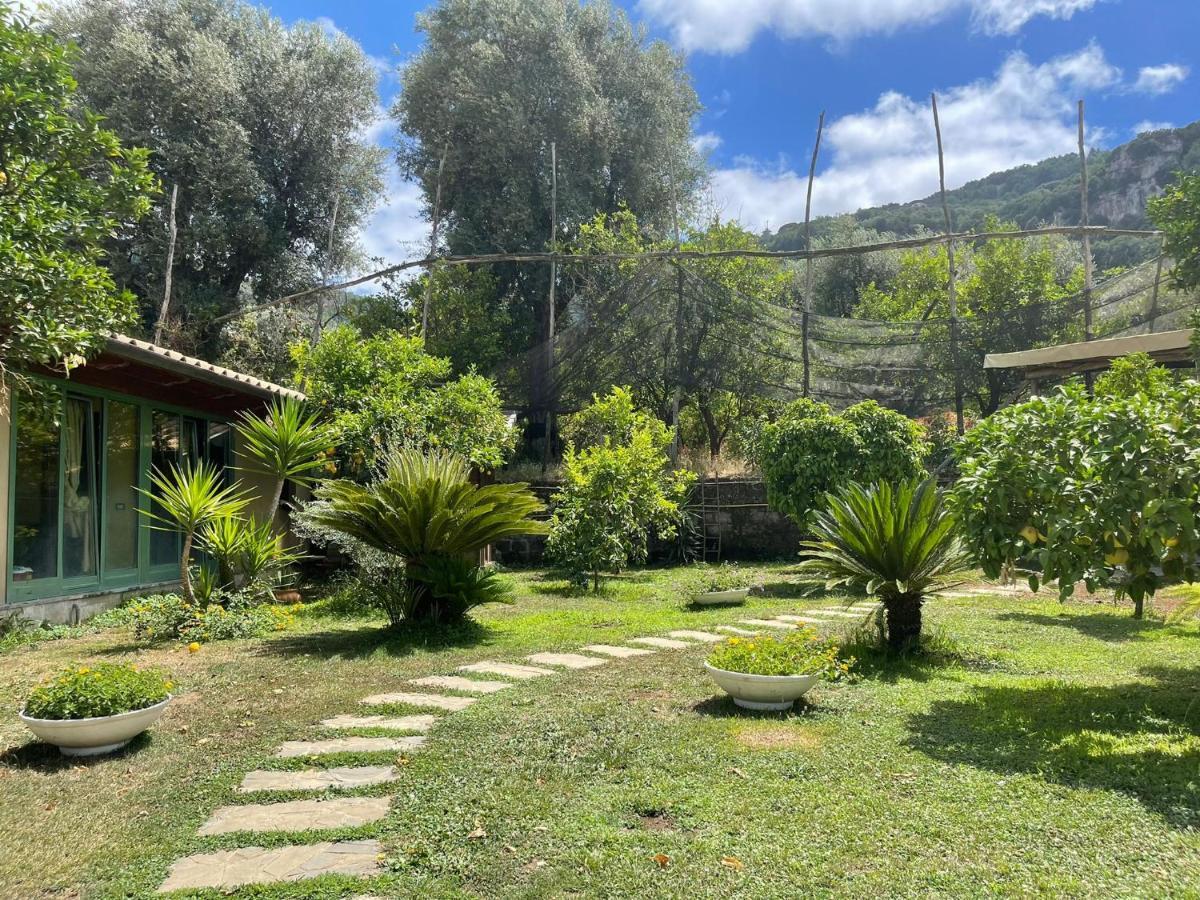Casa Sorrento, Immerso Nel Verde A Pochi Passi Dal Centro Εξωτερικό φωτογραφία